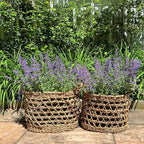 WHW Whole House Worlds Made by Nature Seagrass Baskets, Set of 2 Ovals, Handwoven Open Weave, Handles, 15.75 and 14.25 Inches