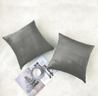NiNi ALL Decorative Throw Pillow Covers Pack of 2, Velvet Throw Pillow Cases for Couch Pillows Cover Bedroom Living Room Outdoor, Pillow Covers 24x24 Inch Grey