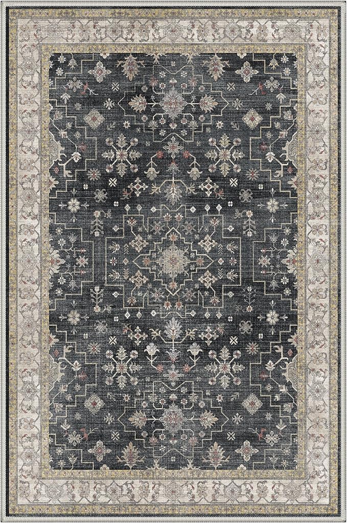GENIMO Area Rug 2x3 Doormat, Machine Washable Low Pile Rugs, Small Retro Chenille Entryway Mat for Entrance, Hallway, Kitchen and Corridor, Sandy Charcoal