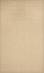 SAFAVIEH Area Rug 3x5 - Natural Fiber Collection - Maize & Linen Color, Sisal, Woven Design with Border (NF141B)