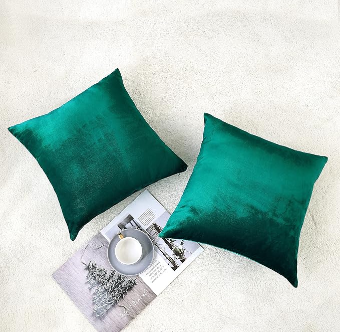 NiNi ALL Decorative Throw Pillow Covers Velvet Soft for Couch Sofa Bedroom Living Room Outdoor Pack of 2 18x18 Inch Teal