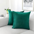 NiNi ALL Decorative Throw Pillow Covers Velvet Soft for Couch Sofa Bedroom Living Room Outdoor Pack of 2 20x20 Inch Teal