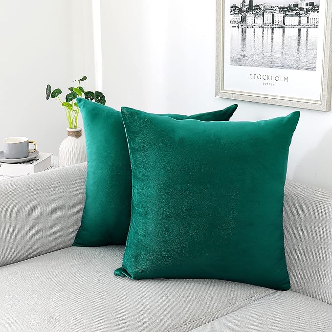 NiNi ALL Decorative Throw Pillow Covers Velvet Soft for Couch Sofa Bedroom Living Room Outdoor Pack of 2 20x20 Inch Teal