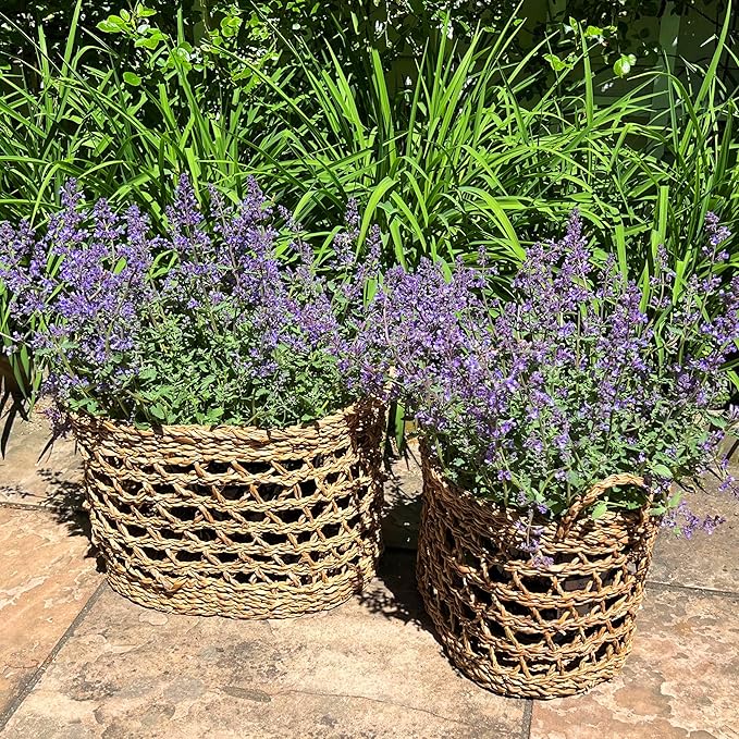 WHW Whole House Worlds Made by Nature Seagrass Baskets, Set of 2 Ovals, Handwoven Open Weave, Handles, 15.75 and 14.25 Inches