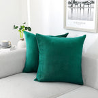 NiNi ALL Decorative Throw Pillow Covers Velvet Soft for Couch Sofa Bedroom Living Room Outdoor Pack of 2 18x18 Inch Teal