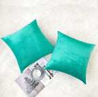 NiNi ALL Decorative Throw Pillow Covers Velvet Soft for Couch Sofa Bedroom Living Room Outdoor Pack of 2 20x20 Inch Aqua Green