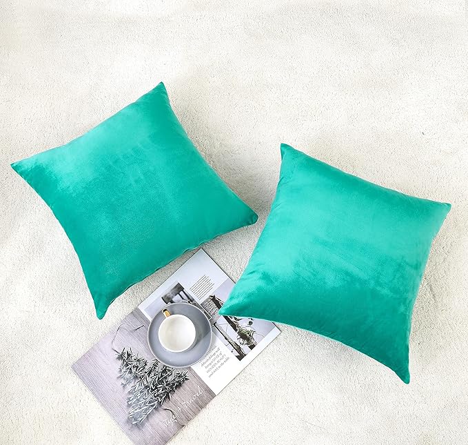 NiNi ALL Decorative Throw Pillow Covers Velvet Soft for Couch Sofa Bedroom Living Room Outdoor Pack of 2 18x18 Inch Aqua Green