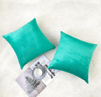 NiNi ALL Decorative Throw Pillow Covers Velvet Soft for Couch Sofa Bedroom Living Room Outdoor Pack of 2 18x18 Inch Aqua Green