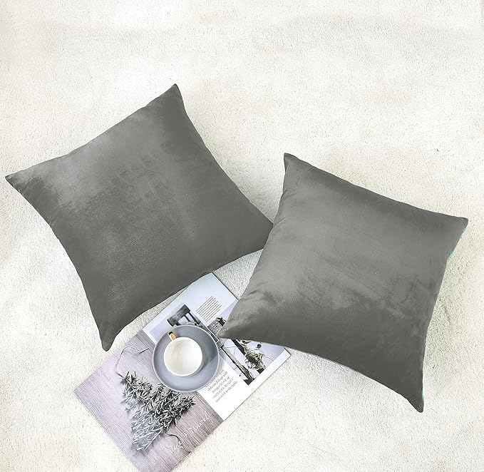 NiNi ALL Decorative Throw Pillow Covers Velvet Soft for Couch Sofa Bedroom Living Room Outdoor Pack of 2 20x20 Inch Grey