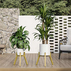 Adjustable Plant Stands Set of 2, Metal Small Plant Holder, Heavy Duty Stable Flower Holder Stand Rack for Various Pot Sizes Indoor Outdoor Corner Living Room Balcony Office Golden PS-007GY-2