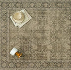 Light Brown 3x10 Vintage Area Rug Hallway Indoor Kitchen Washable Living Room Carpet Tribal Distressed Rug Retro Accent Throw Rug for Office Dining Room Bathroom Faux Wool
